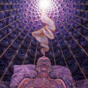 Meet your Posher, Sami